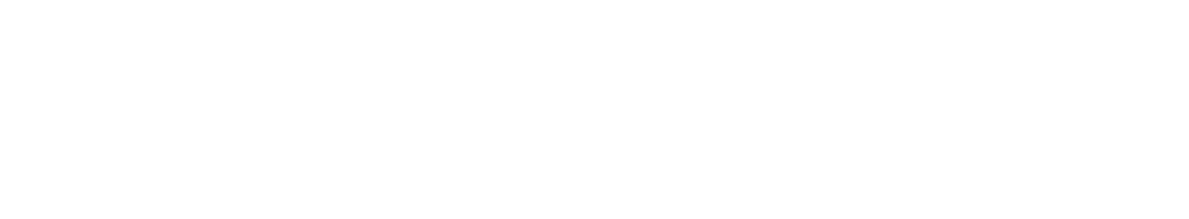DUF-Rejser